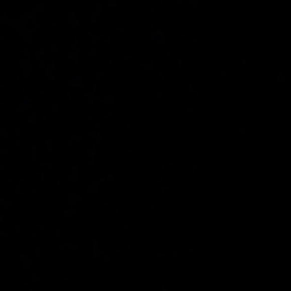 Meet your Posher, Taylor - Picture 1 of 1